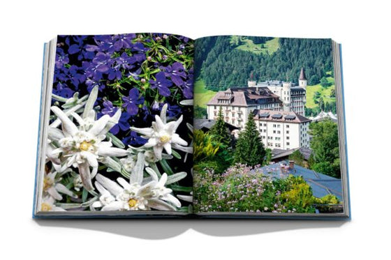 Gstaad Glam - Meadow Home